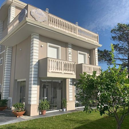 Crialesi Boutique Rooms Falerna Ngoại thất bức ảnh